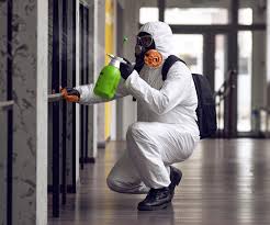 Best Mold Remediation for Healthcare Facilities  in Elgin, IL